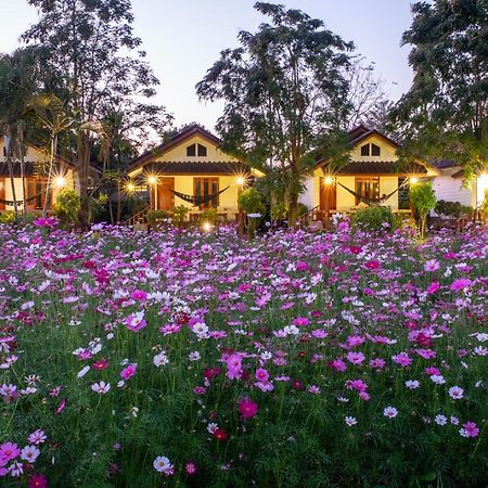 فندق The Nest House باي المظهر الخارجي الصورة
