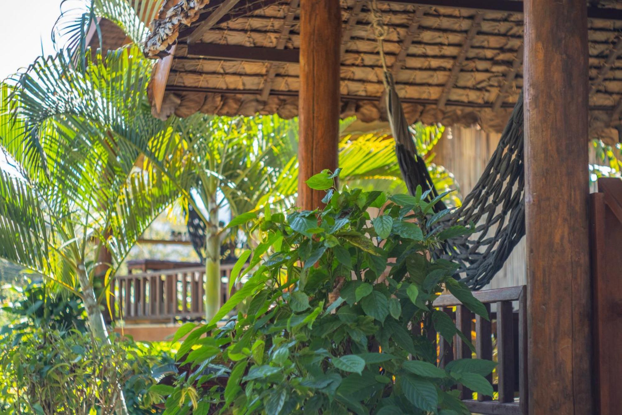 فندق The Nest House باي المظهر الخارجي الصورة