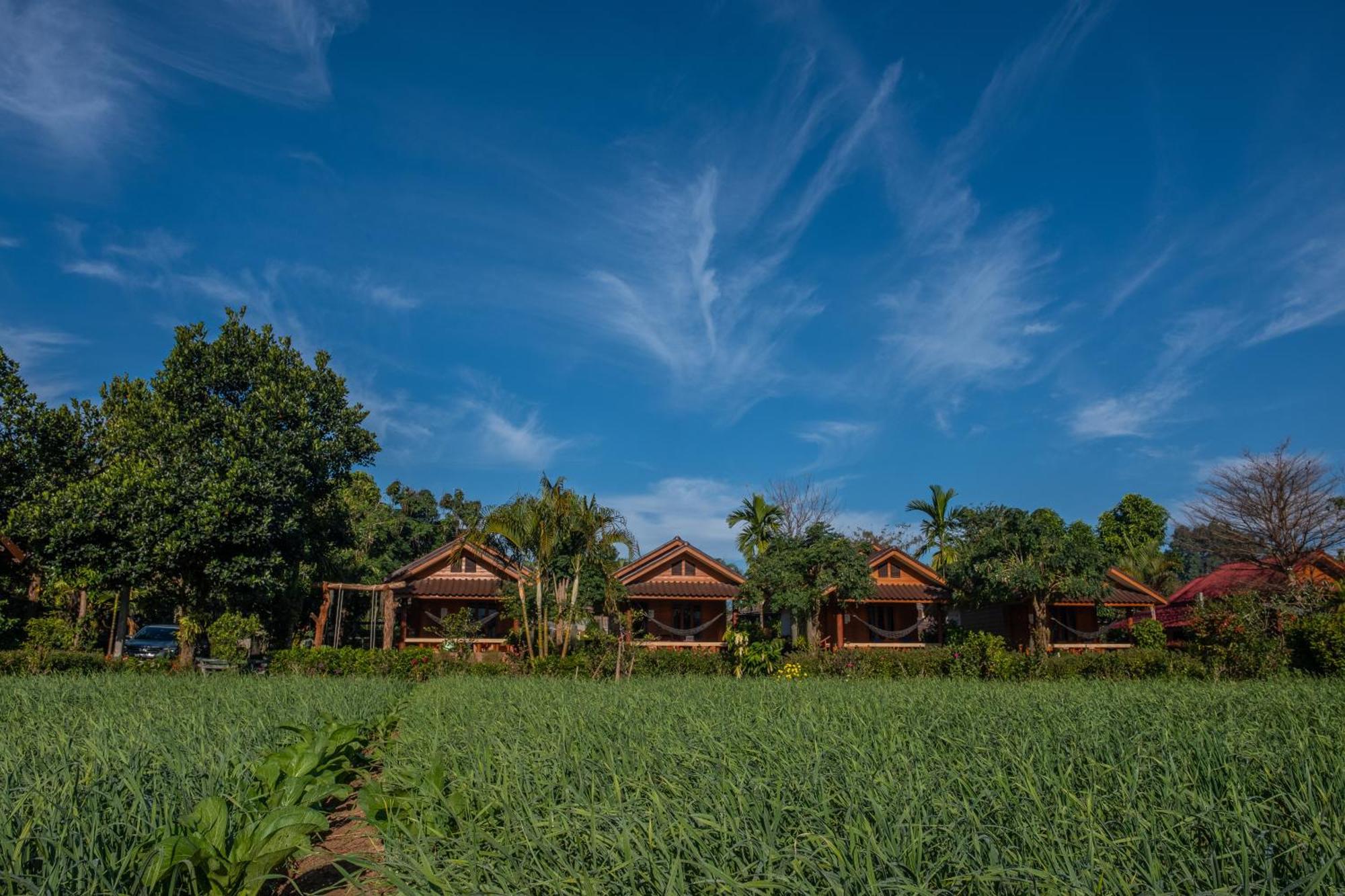 فندق The Nest House باي المظهر الخارجي الصورة