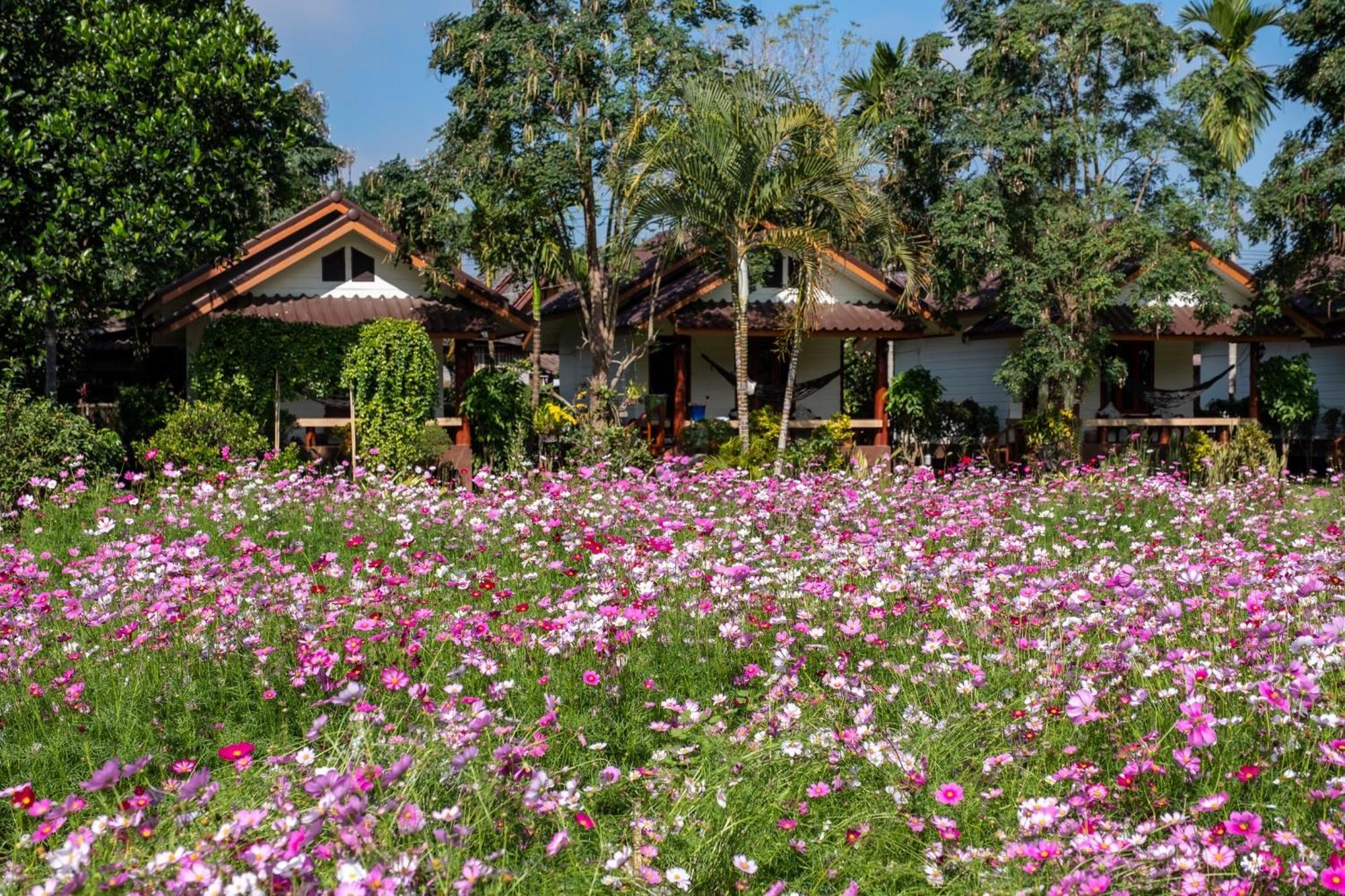 فندق The Nest House باي المظهر الخارجي الصورة