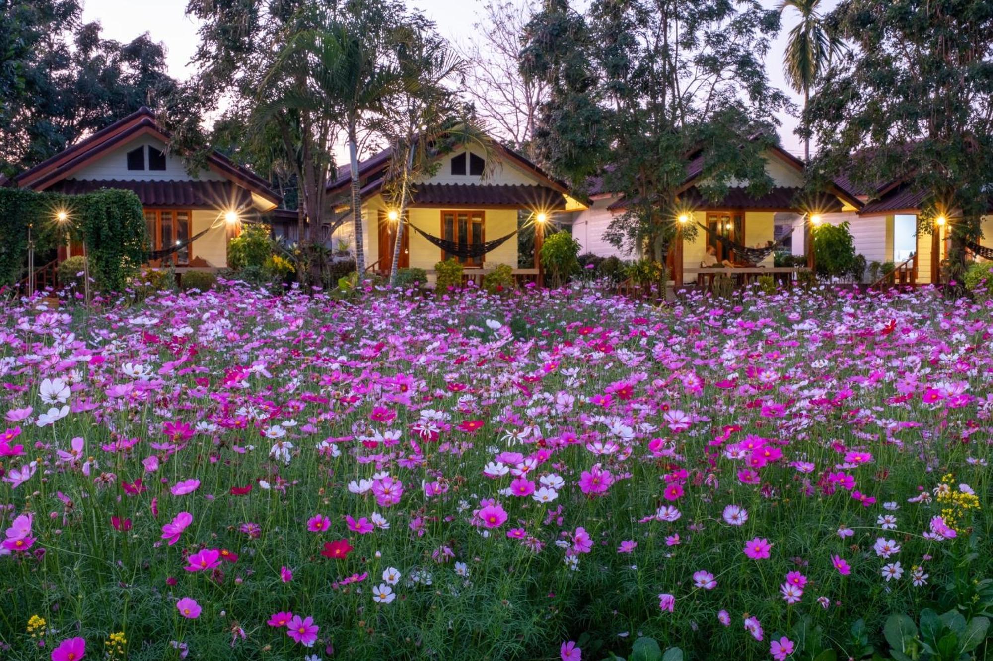 فندق The Nest House باي المظهر الخارجي الصورة