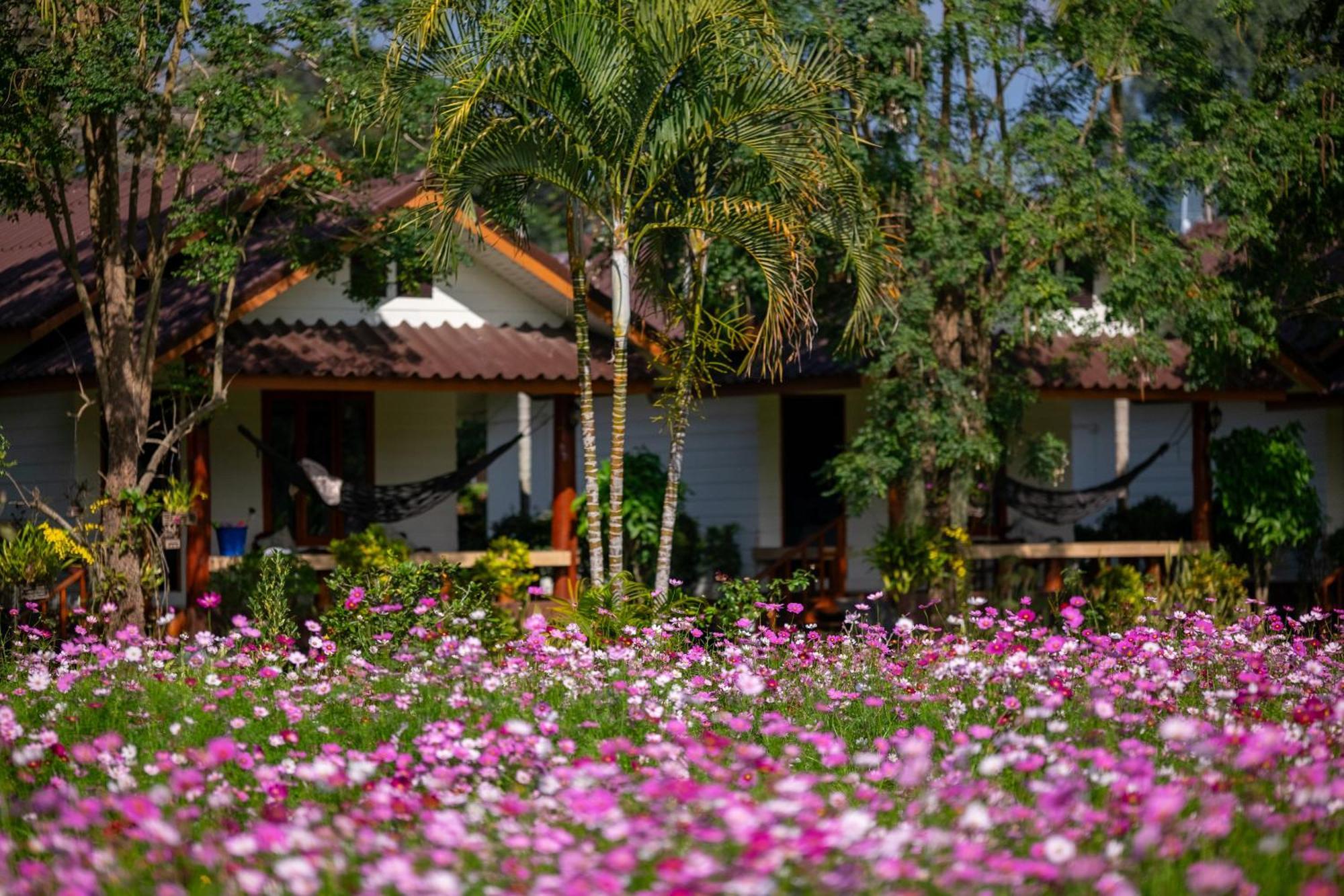 فندق The Nest House باي المظهر الخارجي الصورة