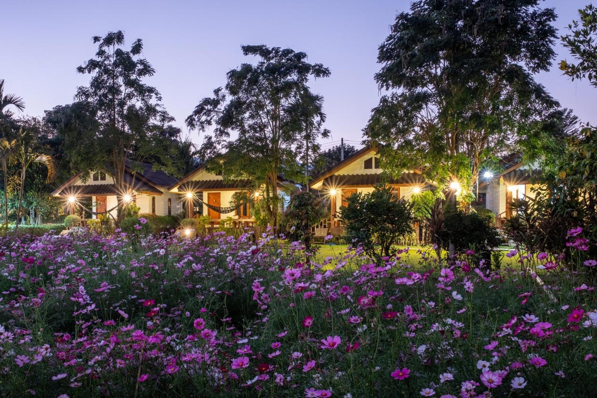 فندق The Nest House باي المظهر الخارجي الصورة