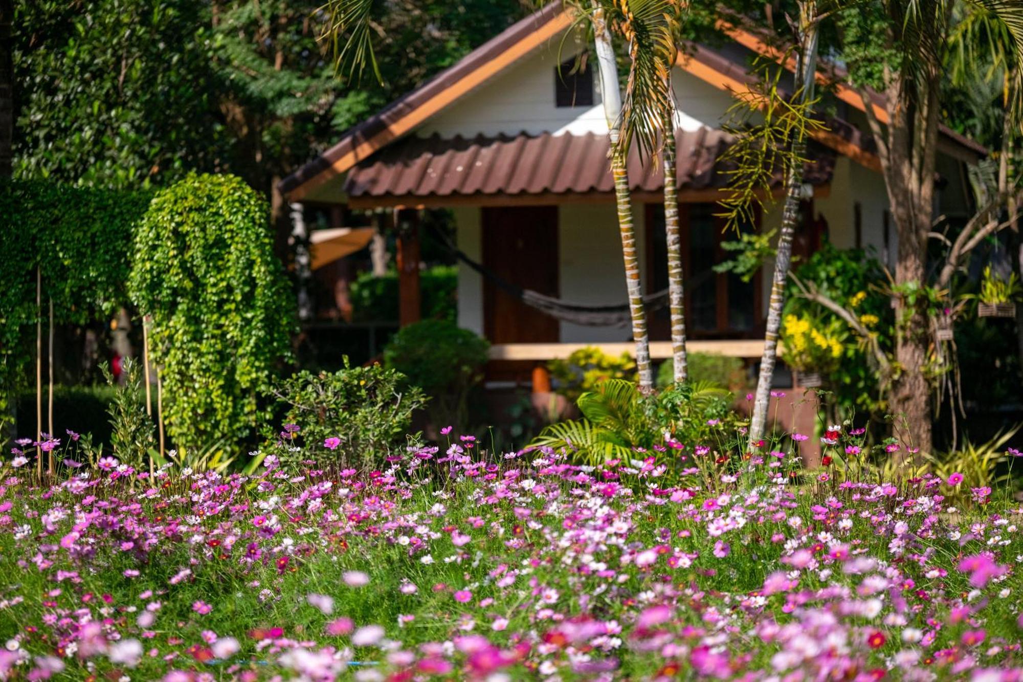 فندق The Nest House باي المظهر الخارجي الصورة